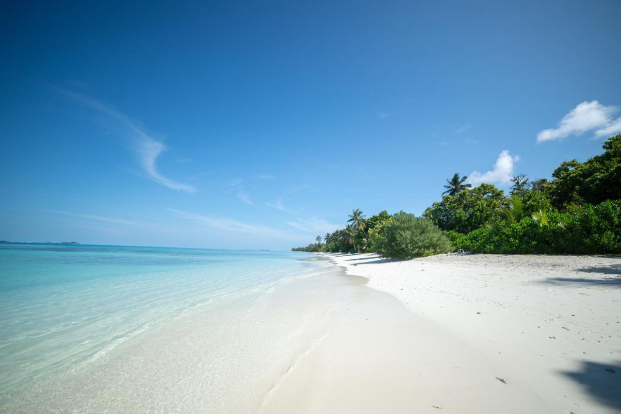 Whaleshark Beach Dhigurah  Buitenkant foto