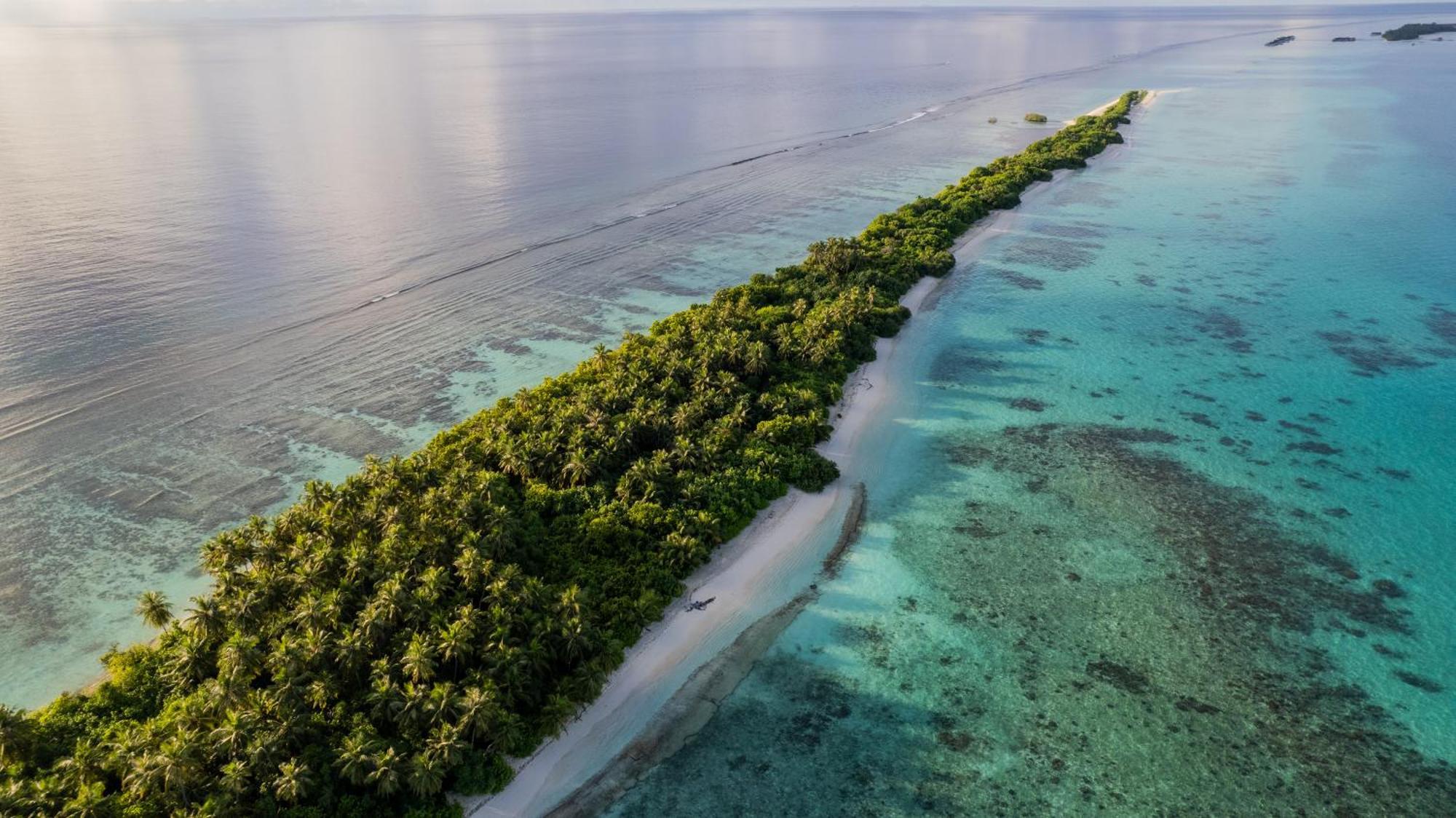 Whaleshark Beach Dhigurah  Buitenkant foto